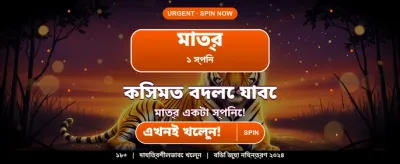 ek33 গেমিং ইন্টারফেস